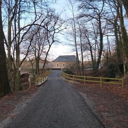 Saint-Aubin-des-Landes Le Moulin De Bretigneul Bed & Breakfast エクステリア 写真