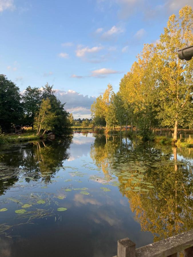 Saint-Aubin-des-Landes Le Moulin De Bretigneul Bed & Breakfast エクステリア 写真
