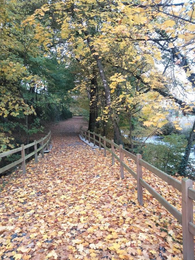 Saint-Aubin-des-Landes Le Moulin De Bretigneul Bed & Breakfast エクステリア 写真