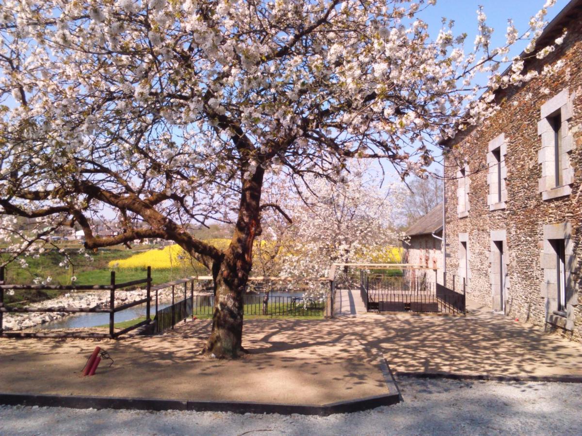 Saint-Aubin-des-Landes Le Moulin De Bretigneul Bed & Breakfast エクステリア 写真